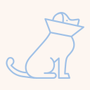 cat wearing cone icon
