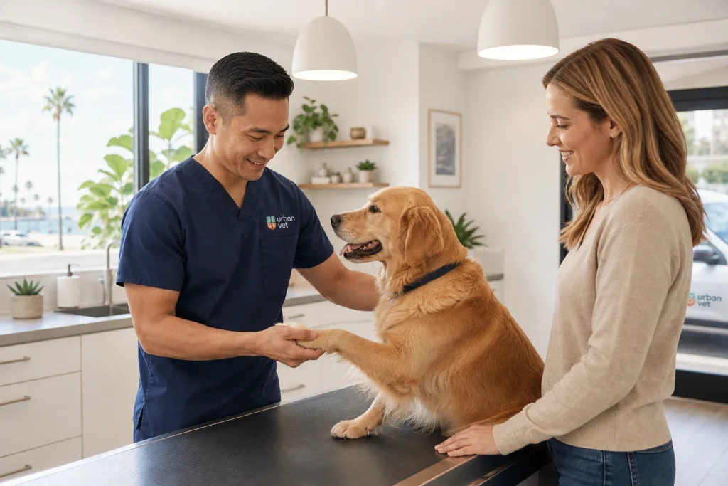 Veterinarian examining a calm dog in a bright Newport Beach clinic, illustrating compassionate care for anxiety in pets